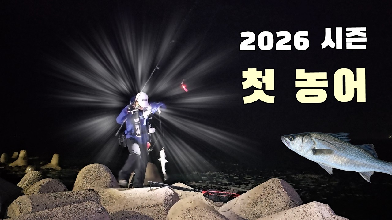 왔어요~ 왔어요~ 시즌 첫농어가 왔어요! #농어낚시 #농어 #낚시 #바다낚시 #fishing #포항낚시