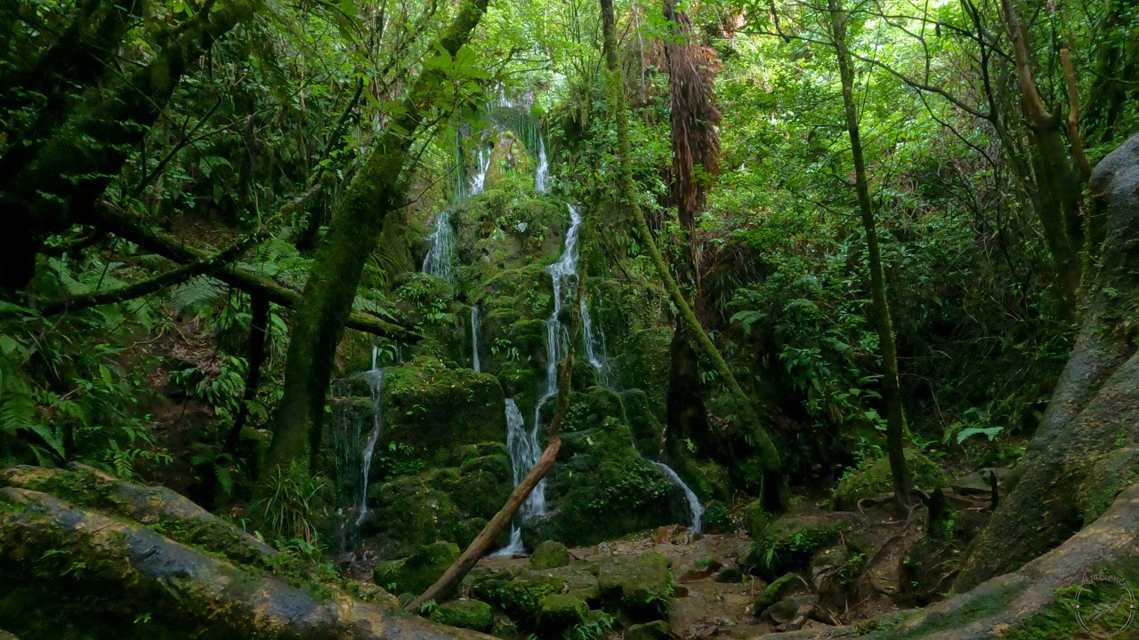 Relaxing Cascade Falls | Waterfalls | Relaxing Sounds for Studying and Sleep | 4K