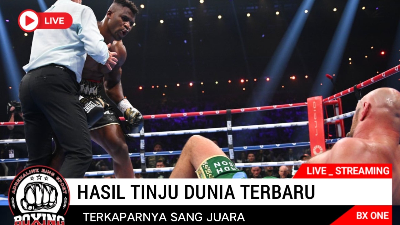Hasil Tinju Dunia Hari Ini - Tyson Fury vs. Francis Ngannou, highlight tinju dunia, Champions