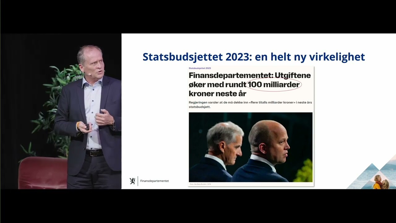 Finansministerens perspektiv (2024)