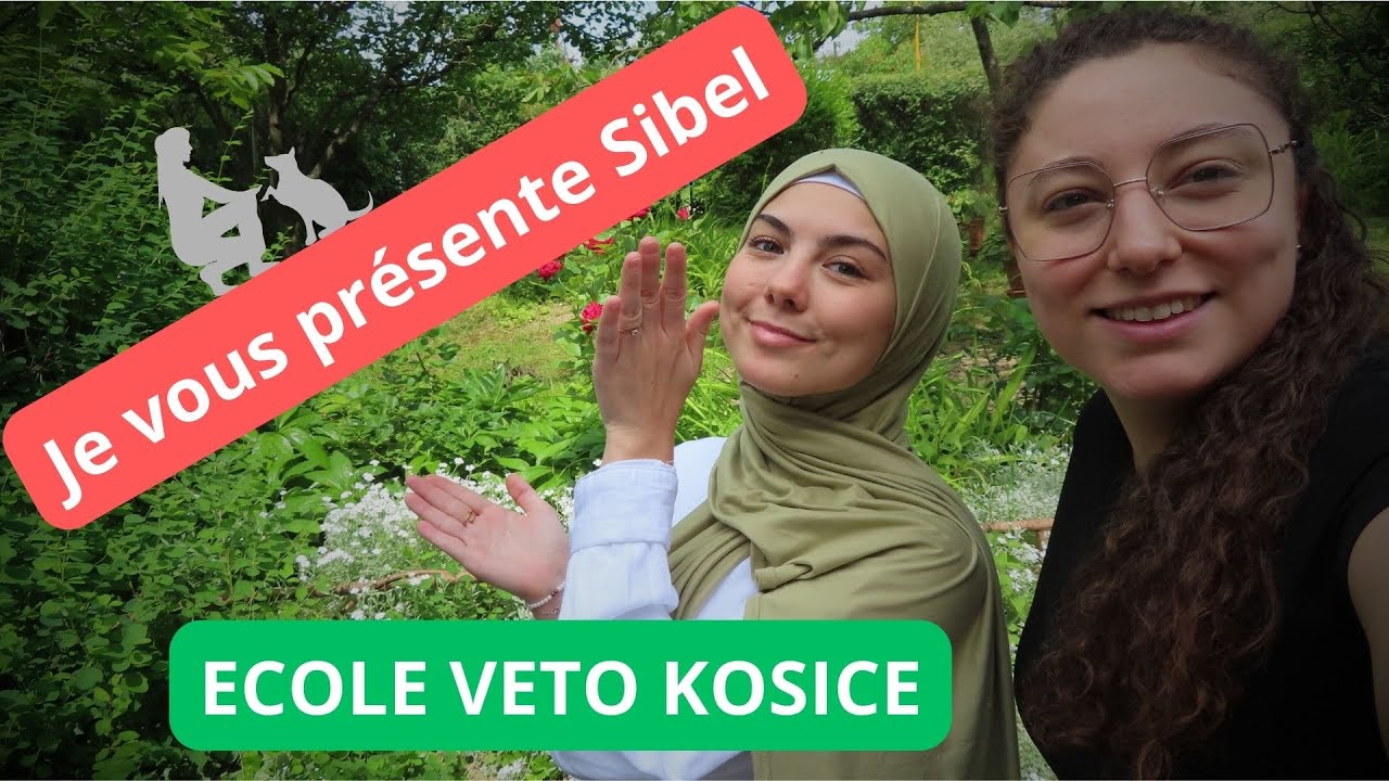 Je vous présente Sibel!!