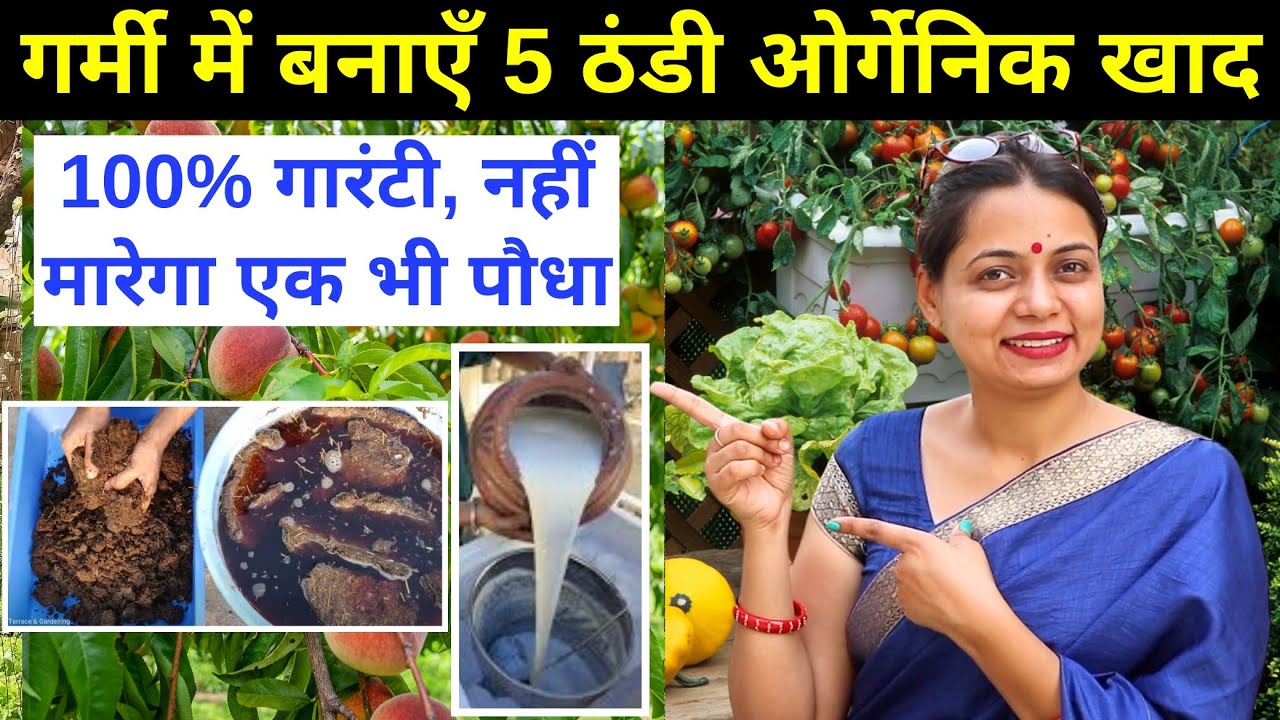 गर्मियों में पौधों को बचाने के लिए 5 ठंडी खादें 😱 Make Cool Compost at Home ☀️