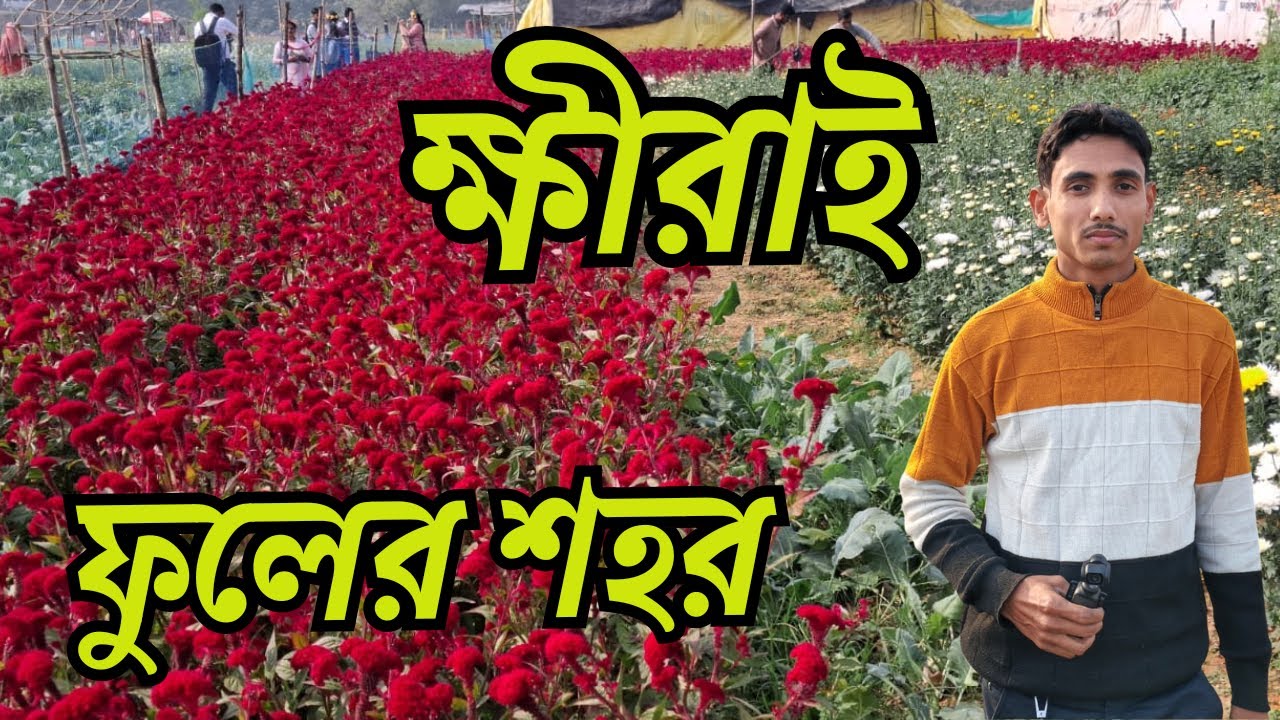 ক্ষীরাই ফুলের শহর || Khirai Fuler Sahar