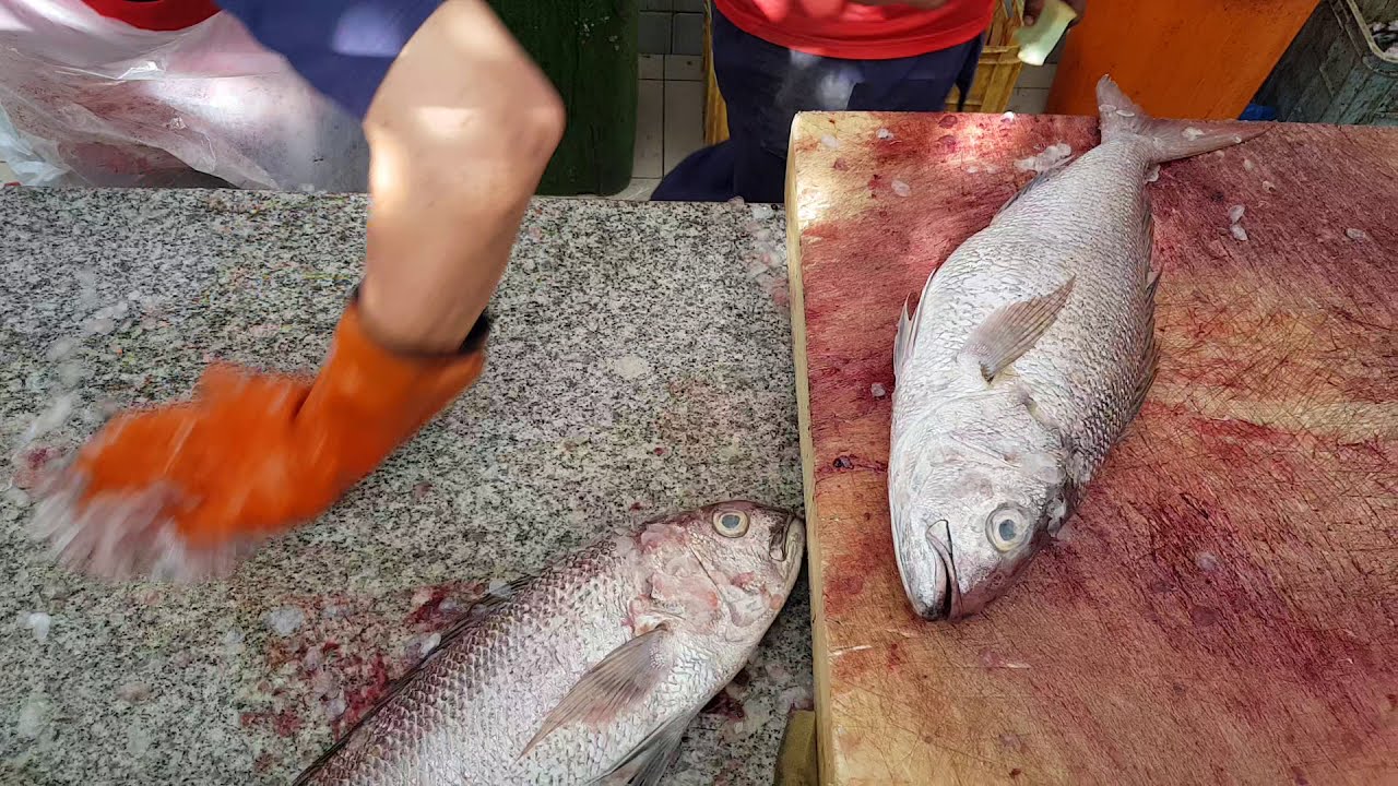 Fillet a Whole Salmon/Salmon Cutting Skills/Salmon Fish Cutting & Chopping/How To Fillet a Fish