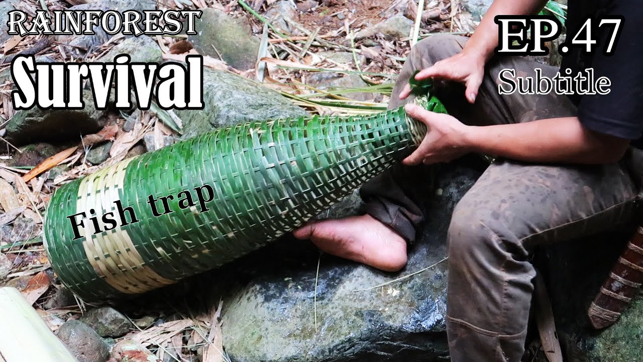 Thử Thách Sinh Tồn Trong Rừng Mưa Một Mình -EP.47 |Survival Alone In The Rainforest