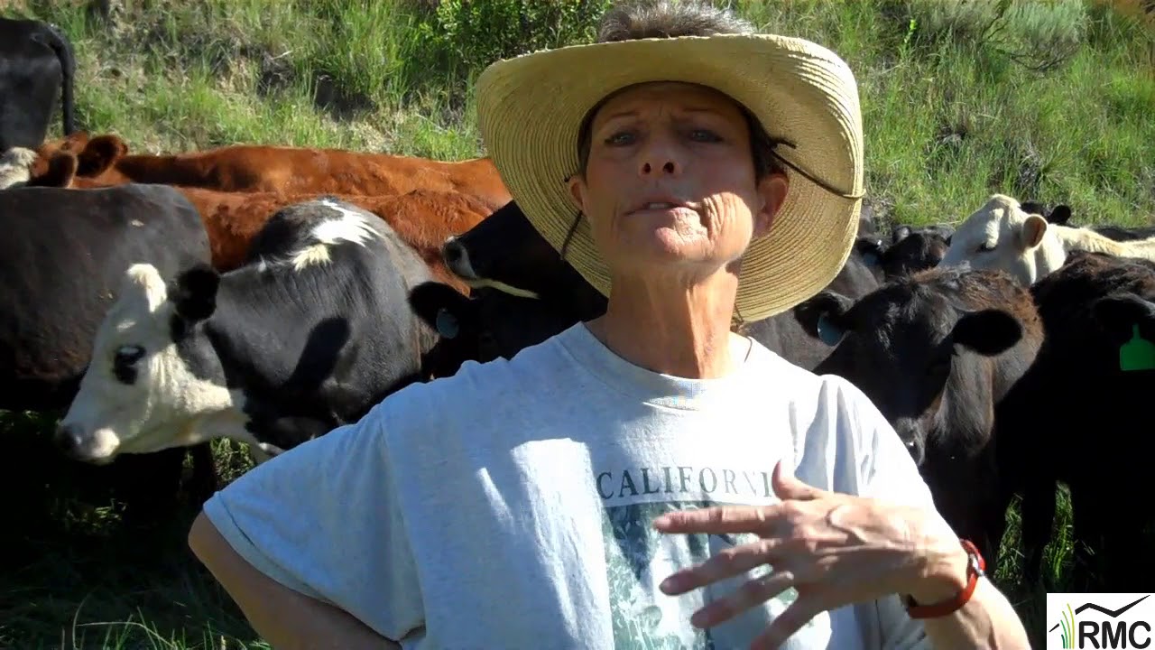 30 Seconds on Stockpiling Forage