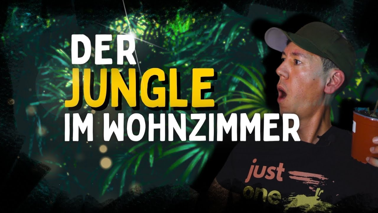 So ein Zimmerpflanzen Wahnsinn sieht man selten 😱 Sie hat einen Jungle im Wohnzimmer!