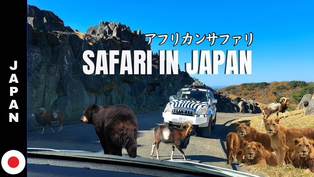 Wildlife Adventure in Japan |  Kyushu African Safari Driving Tour | Full 2025 Experience