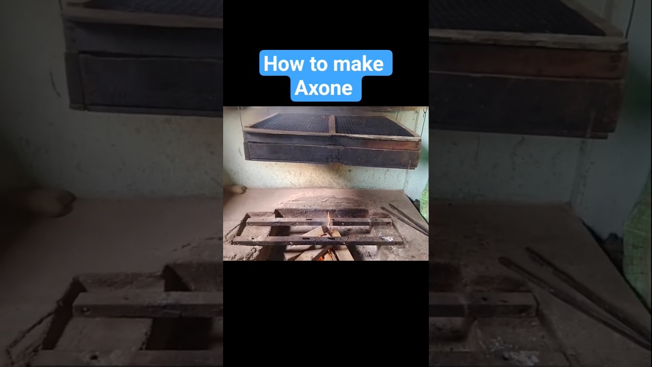 How to make Axone #axone