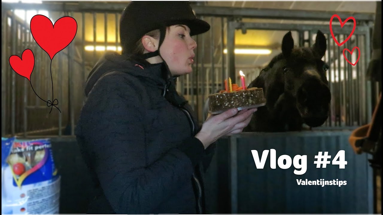 Rijden, dekjes ontharen & VALENTIJNSTIPS | VLOG #4 | Epplejeck