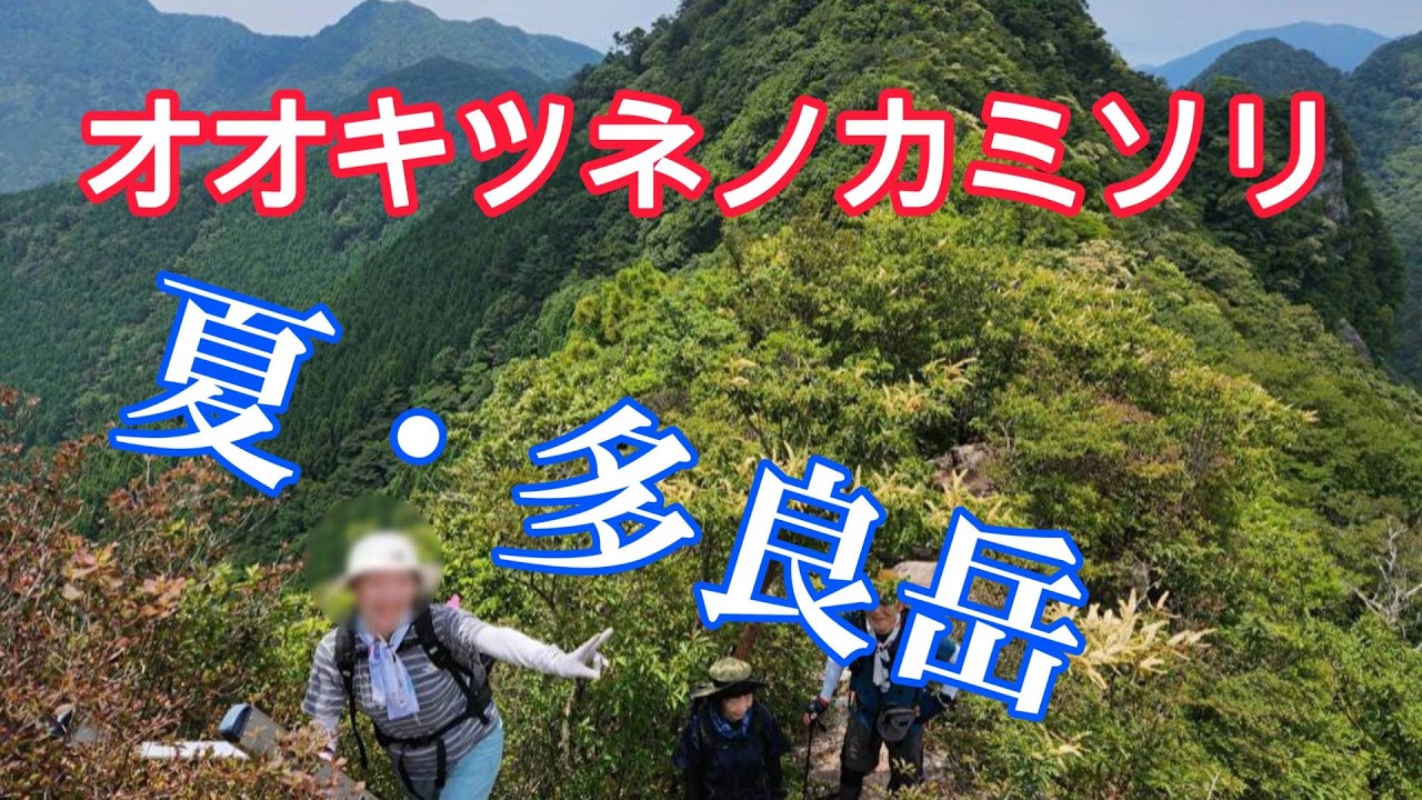 九州多良岳の名花「オオキツネノカミソリ」