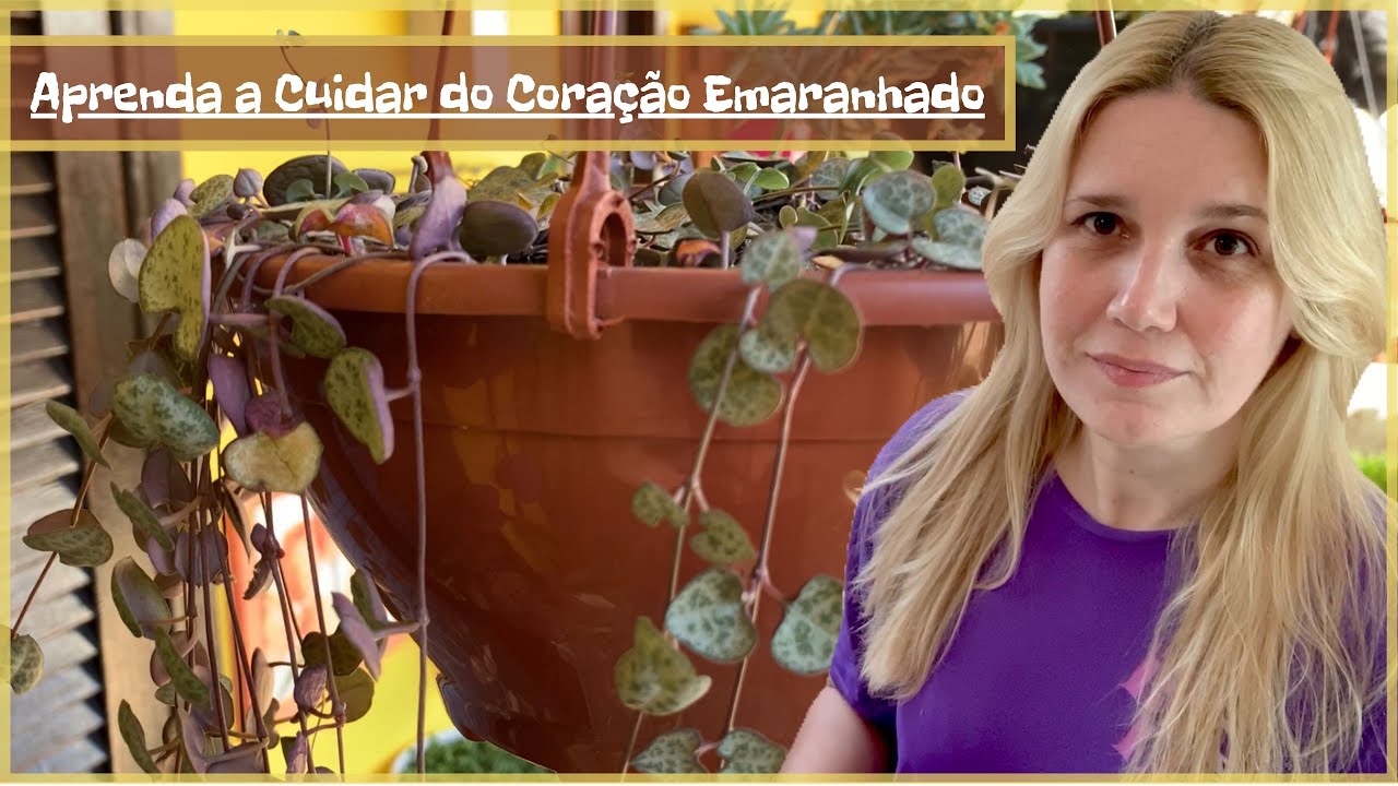 Aprenda a Cuidar do Coração Emaranhado | Nossa Vida é sem Frescuras!