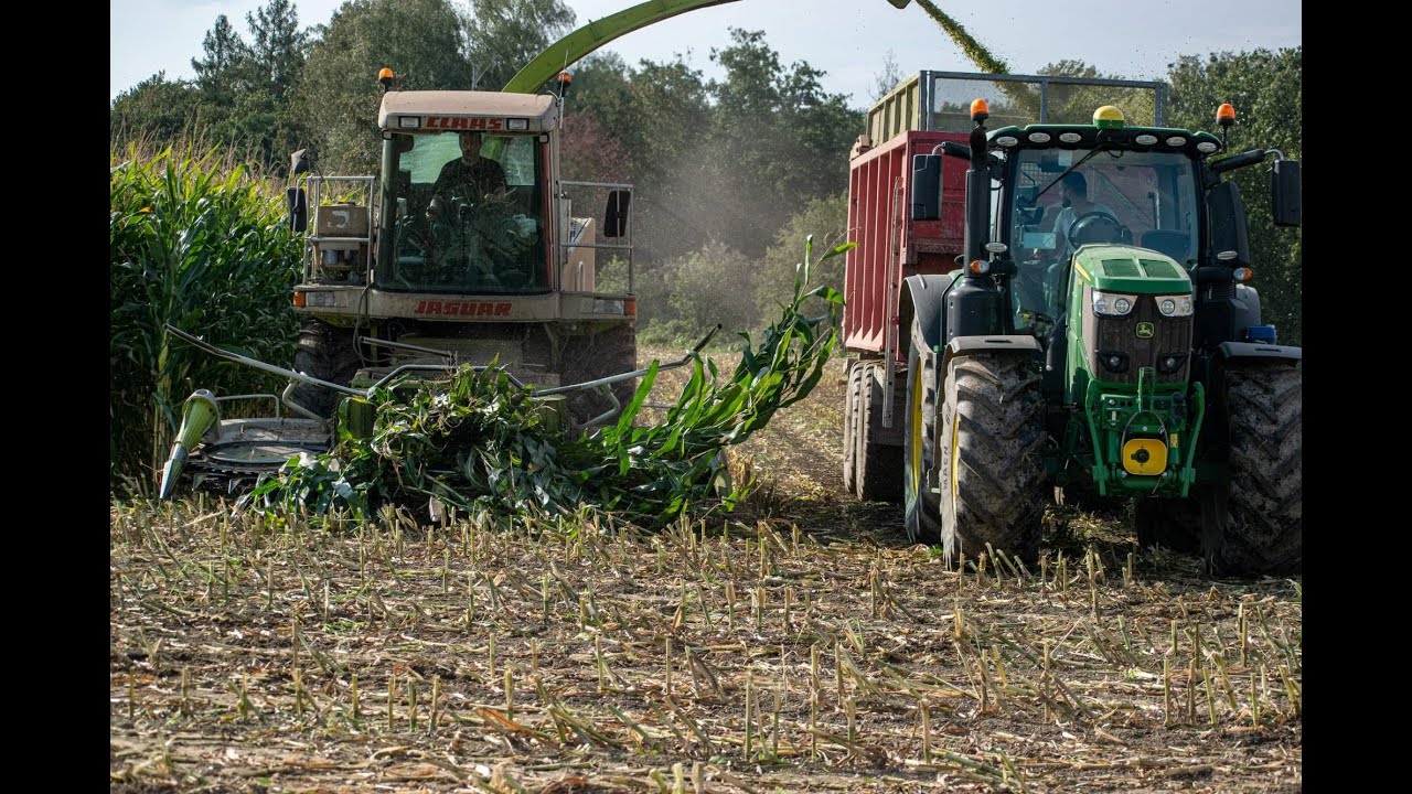 Sil&aacute;že 2020 | Corn Silage 2020 | Claas Jaguar 840 | John Deere , Zetor