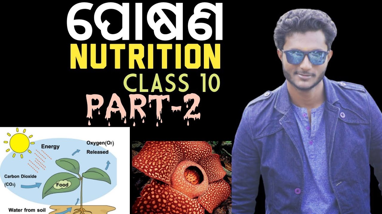 Nutrition (ପୋଷଣ) 10th class life science chapter-1 in odia || ପୋଷଣ ର ପ୍ରକାରଭେଦ || mode of nutrition