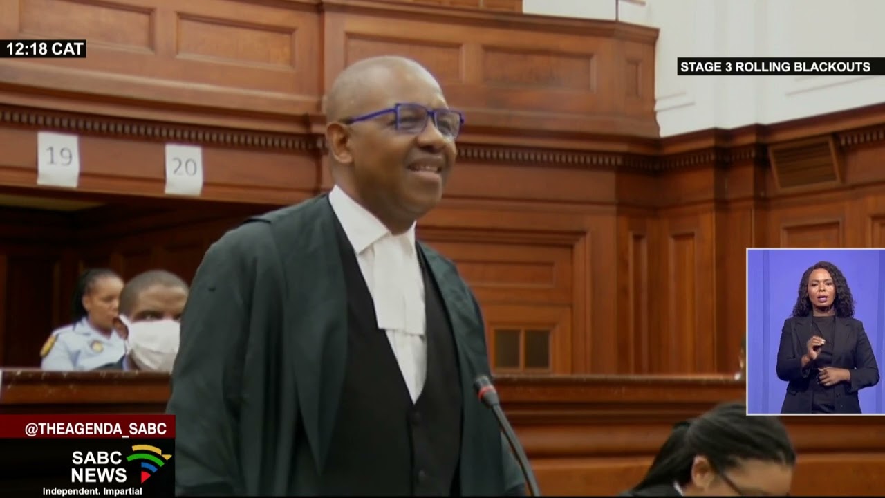 Alleged parliament arsonist Zandile Mafe's case postponed to 24 February