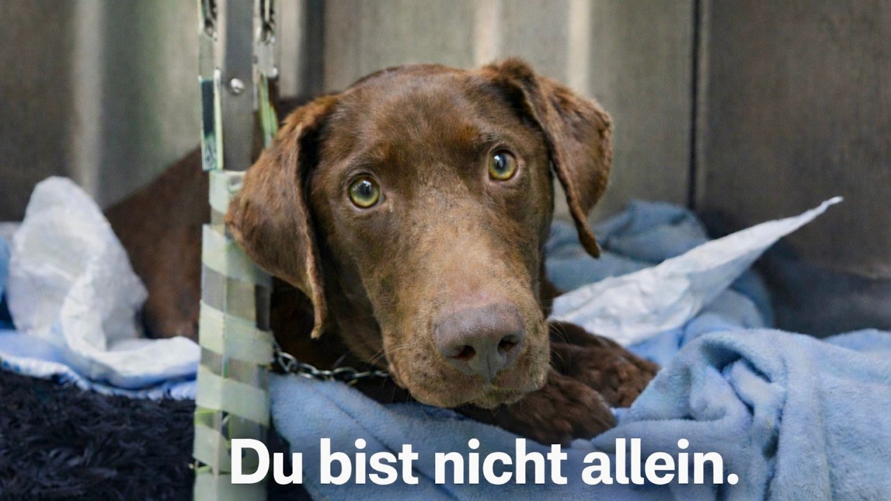Dieses Bein kann gerettet werden