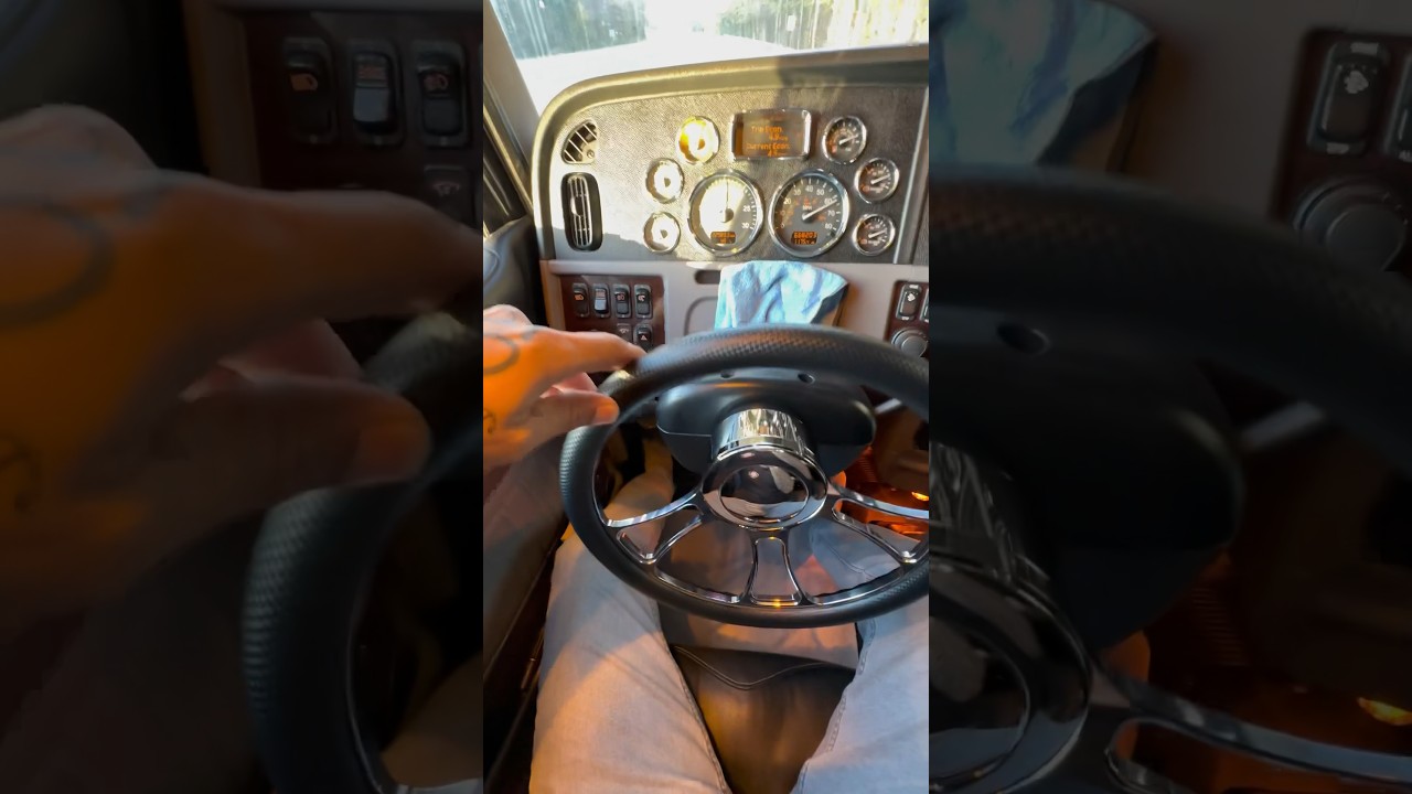 PETERBILT 389 #shorts #trucker #trailer