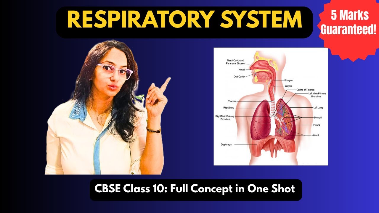 Class 10 Respiration | CBSE Life Processes | Full Easy Explanation for Boards