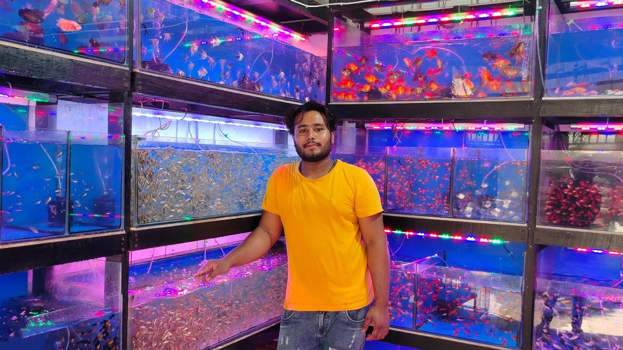 #Abhi Aquarium Fish Shop Kurla Fish Market