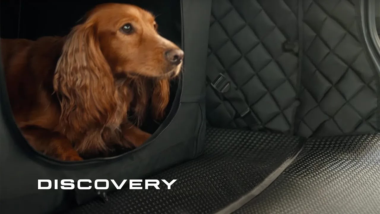 Land Rover Discovery | Tailgate Tales | 35 Years of Discovery