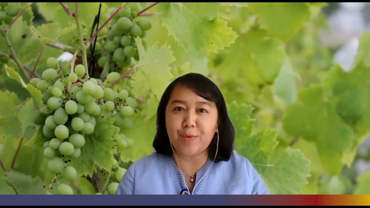 MORFOLOGI BUAH DAN BIJI #kelas4 #ipasd #videopembelajaran