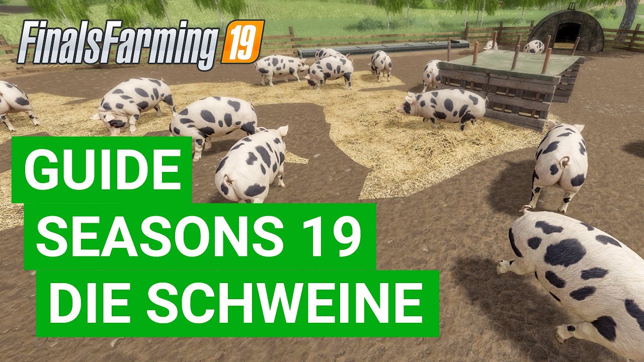LS19 Seasons - Ich glaub mein Schwein pfeift! (Die Wahrheit über die Schweine!)  [MOD: Seasons 19]