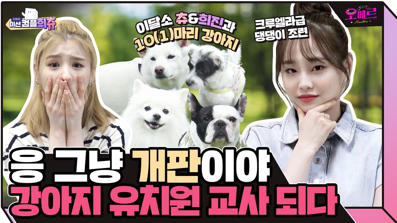 (ENG) 🐶이것만 알면 개통령 될 수 있음🐶 일일 댕댕이 유치원 교사가 된 츄&희진 | 오떼르: 미션컴플희츄 [Ep. 1]