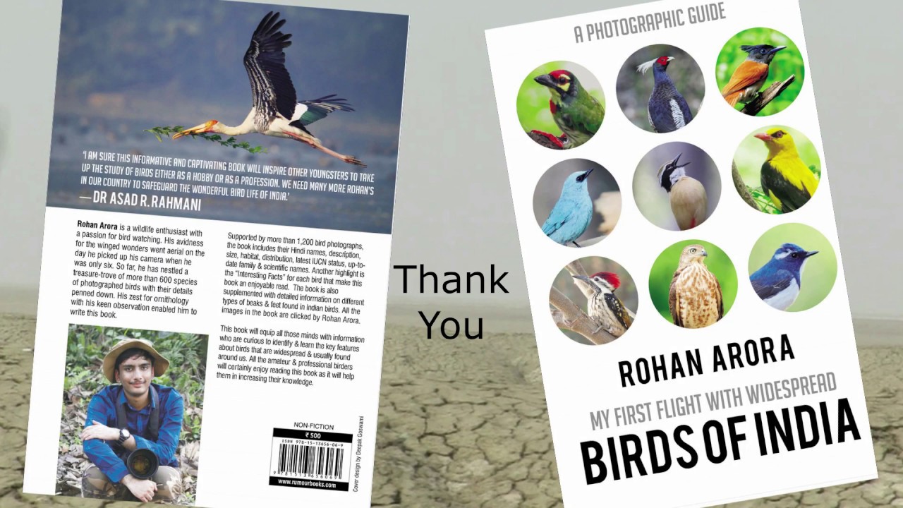Sarus Crane: A small documentary by Rohan Arora
