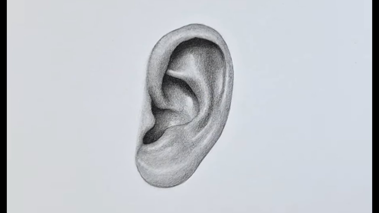 Realistic Ear Drawing 👂🏽| eardrawing| realistic drawing |outline drawing shading
