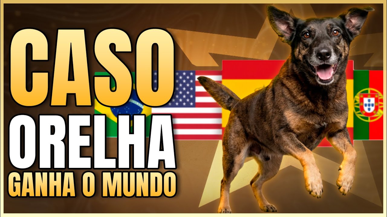 CASO ORELHA: PRESSÃO INTERNACIONAL! | LINK PODCAST