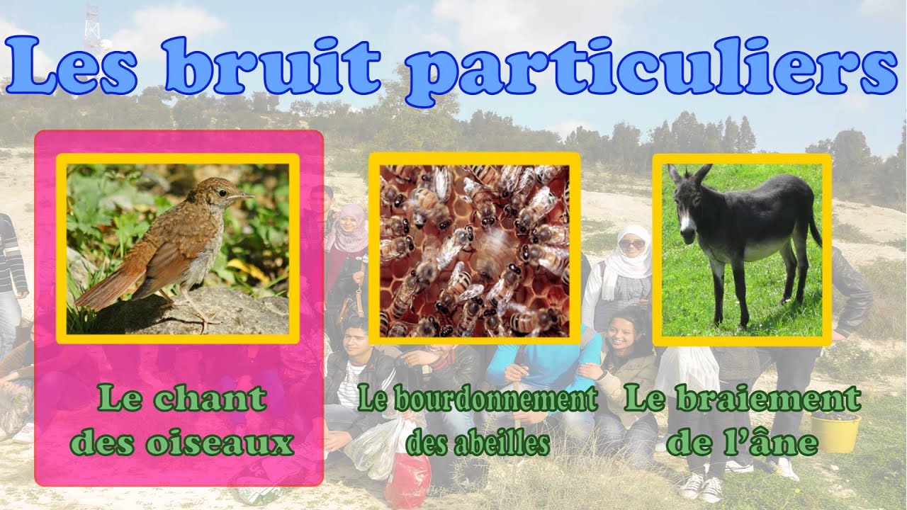 Sortie &eacute;cologique 2 Sc 6