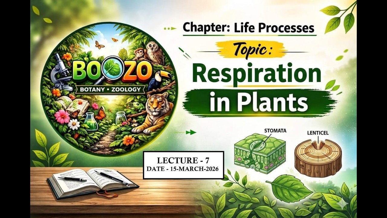 LIFE PROCESSES CLASS 10 | RESPIRATION IN PLANTS | NCERT | BOOZO