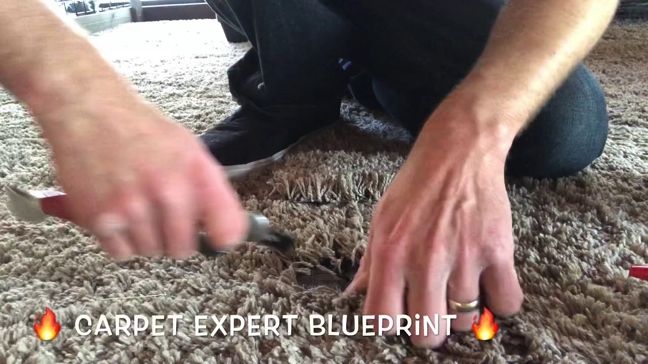 🔥 How To Repair Damaged Carpet 🔥🐈 Caused By Rug Munchin Pets 🐕