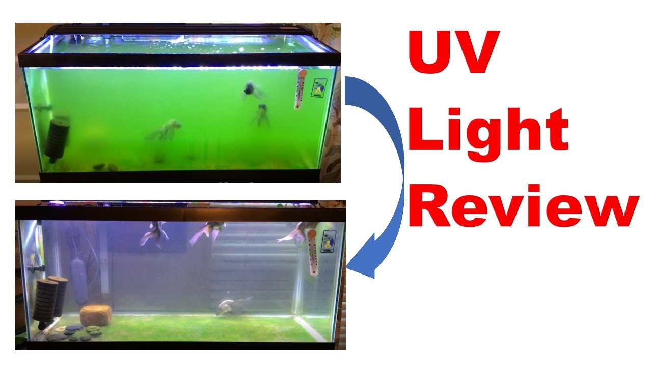 Unboxing Green Killing Machine UV Sterilizer Light + Result 👉