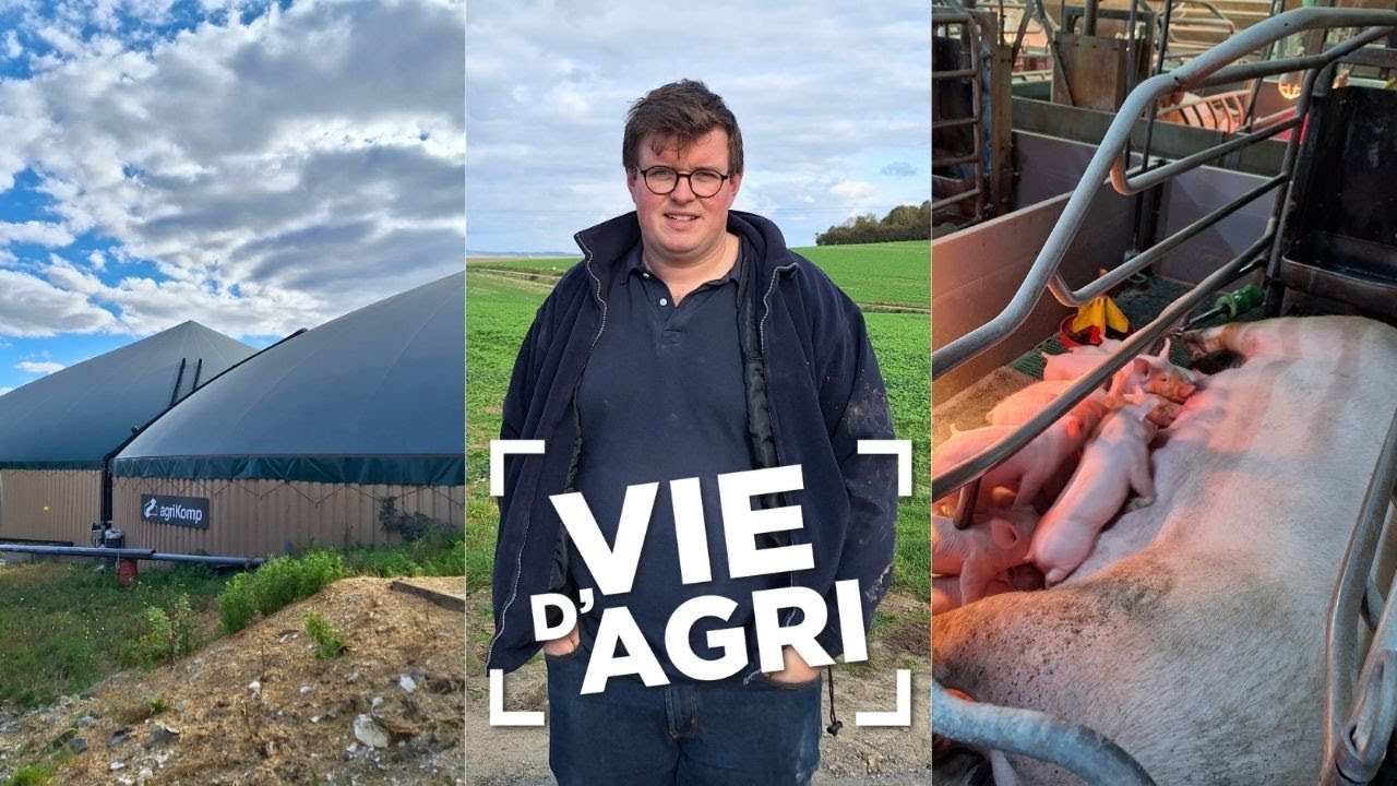 VIE D'AGRI - Portrait de Quentin Thibaut