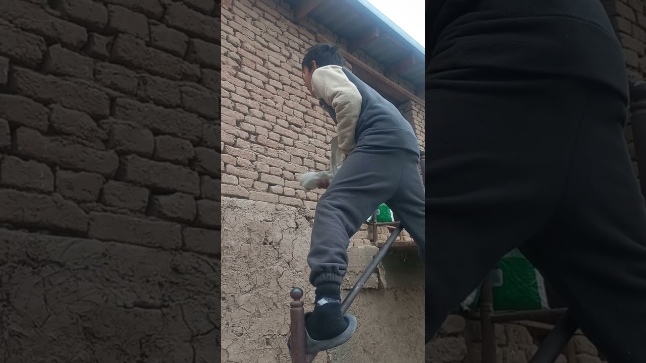 KAFTARLARNI UYGA O'RGATISH 