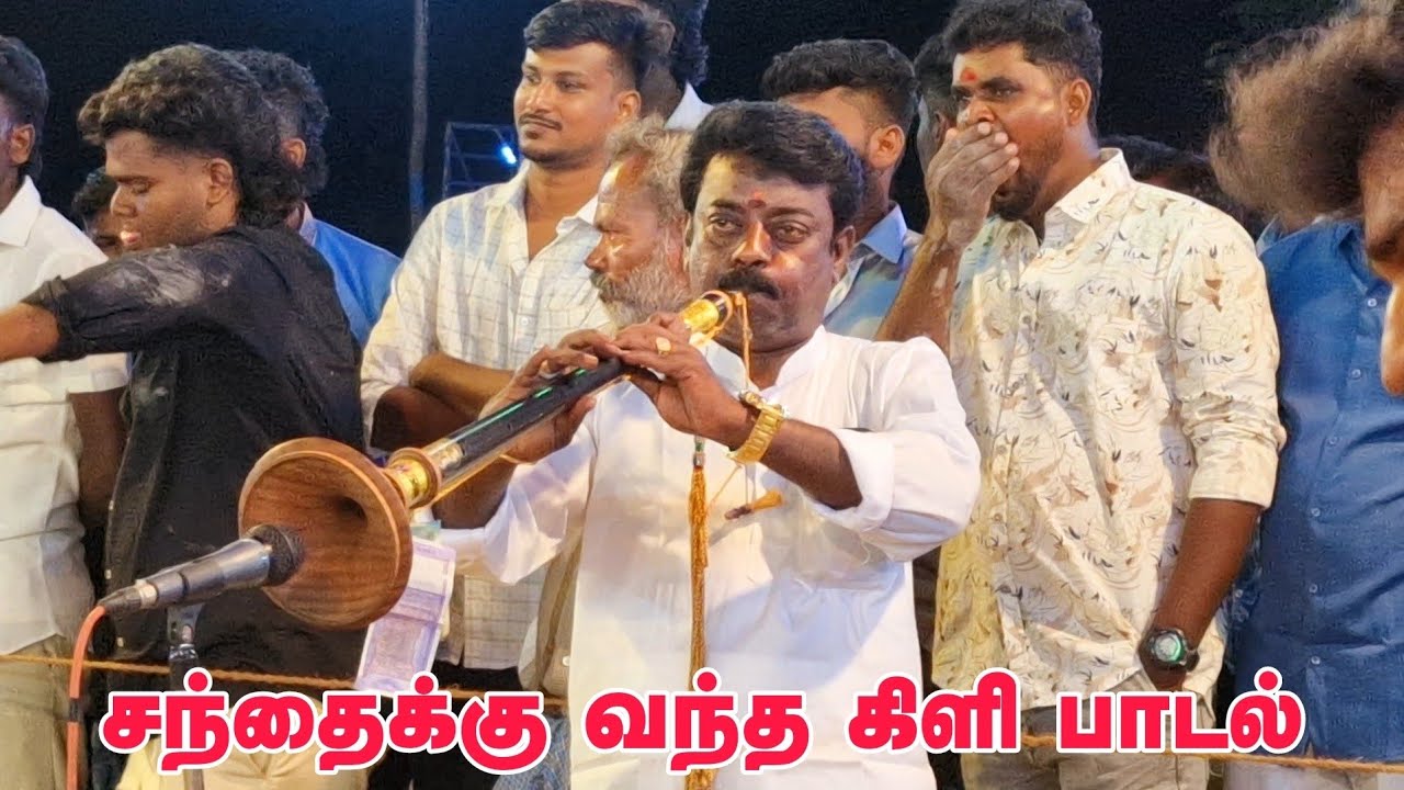 SS.kumar SS. Ragavan Naiyandi Melam || santhaikku vantha Kili Song / Seethai Rider 