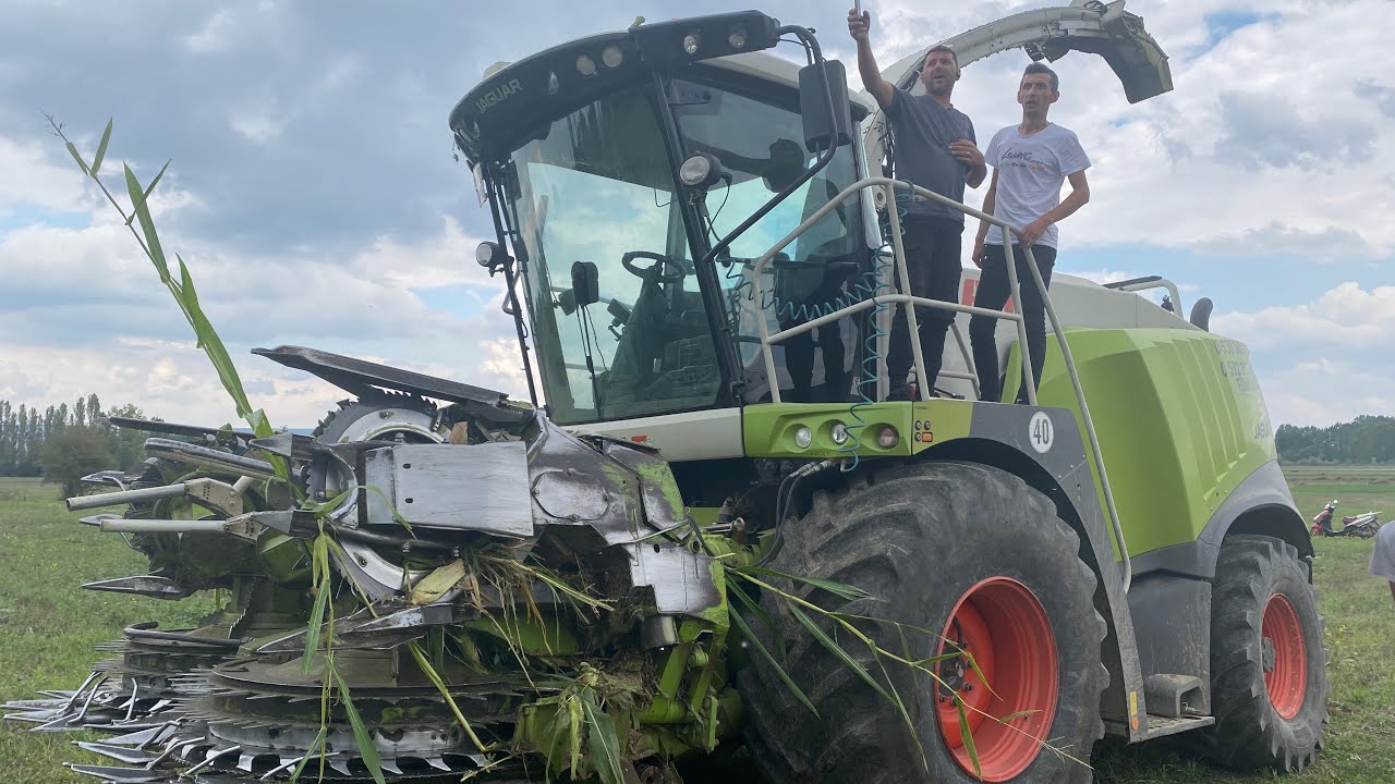 CLAAS JAGUAR 940 MISIR SİLAJI BİÇİMİ / CORN SİLAGE