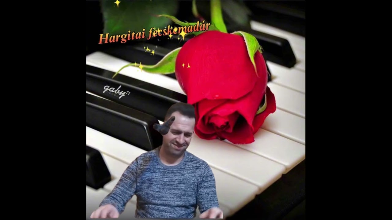 Hargitai fecskemadár