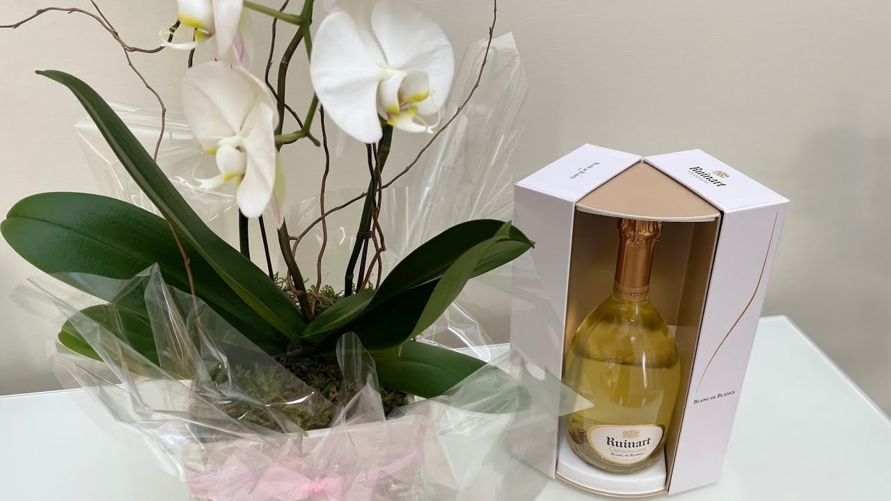 Premium Champagne Review: Ruinart Blanc de Blancs