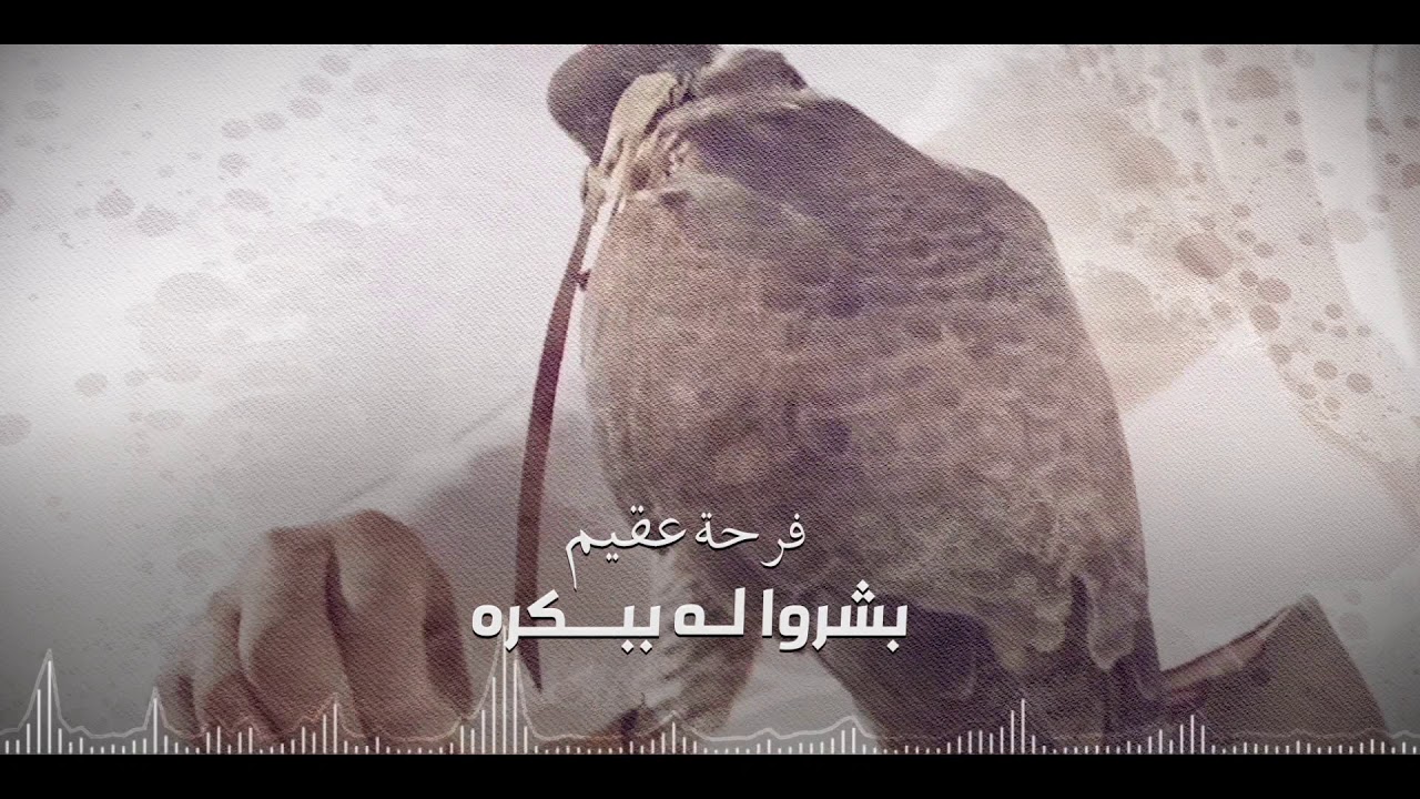حسين ال لبيد  - الطير (حصرياً) | 2019