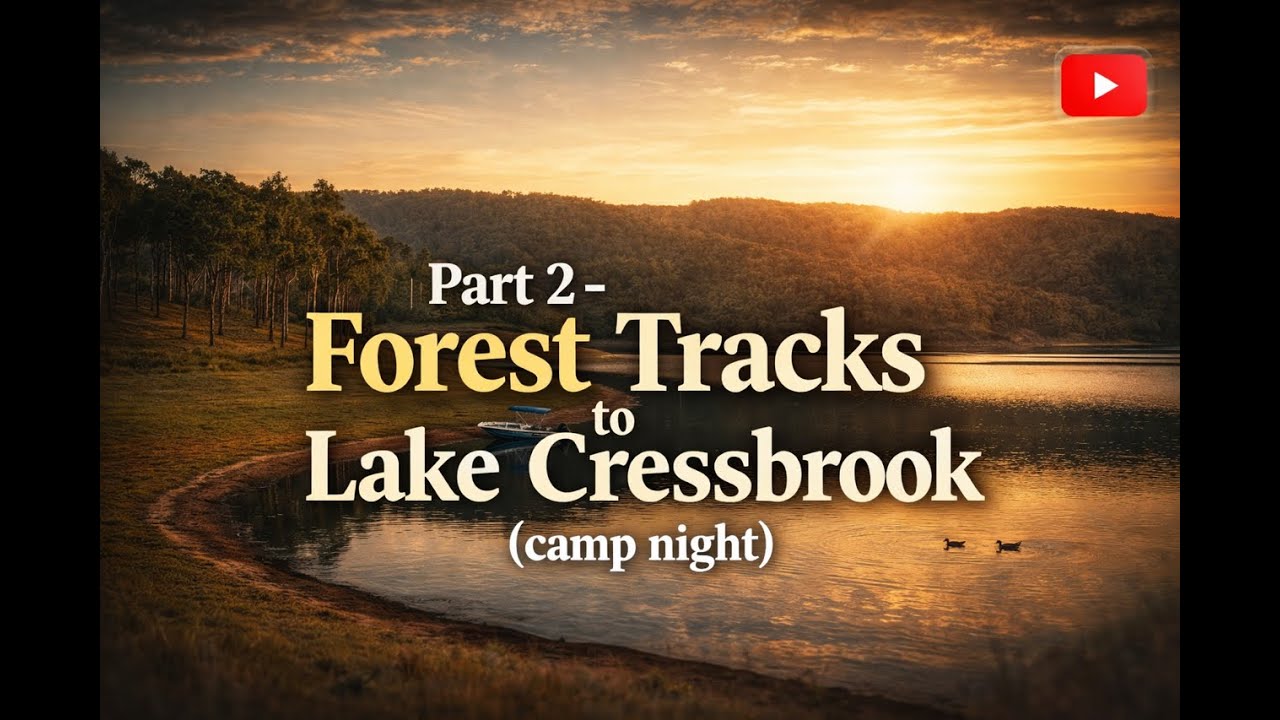 Part 2 – Forest Tracks to Lake Cressbrook (Camp Night)
