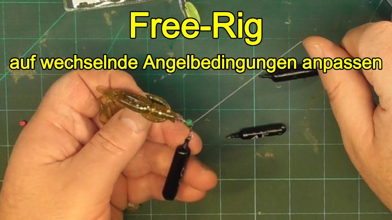Das Free-Rig auf wechselnde Angelbedingungen anpassen. Plus Unterwasseraufnahmen.