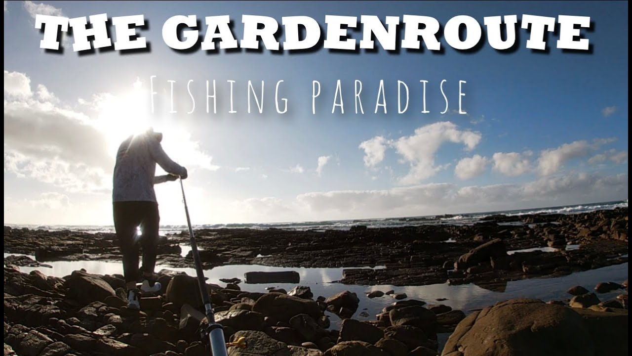 THE HUNT FOR THE ULTIMATE ROCK & SURF SPECIE! Part 1/2