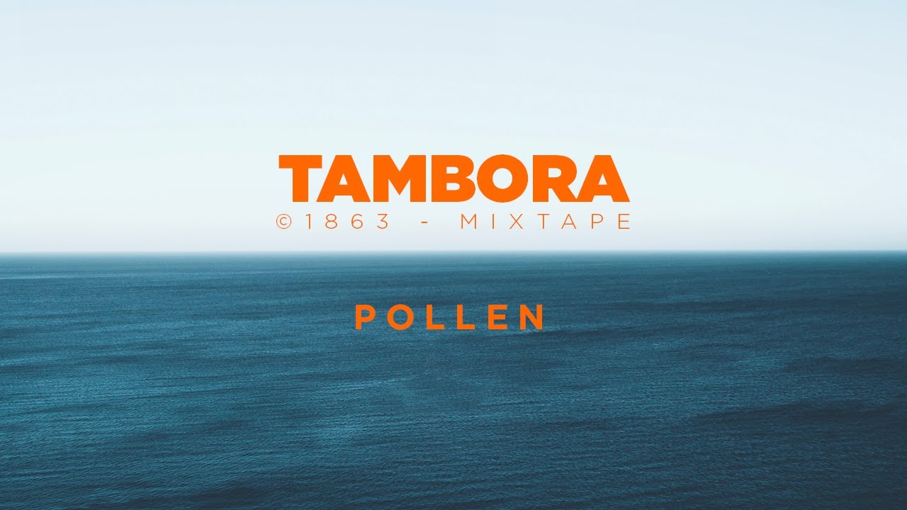 Pollen - Rozzy | TAMBORA