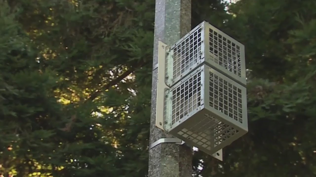 Watch: Audio repellent in Fairfield parks called a headache by neighbors