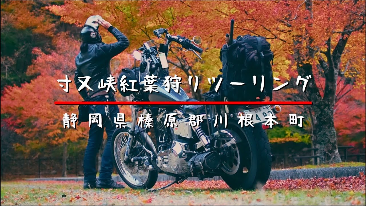 【ソロツーリング】静岡県寸又峡、夢の吊橋で紅葉狩り