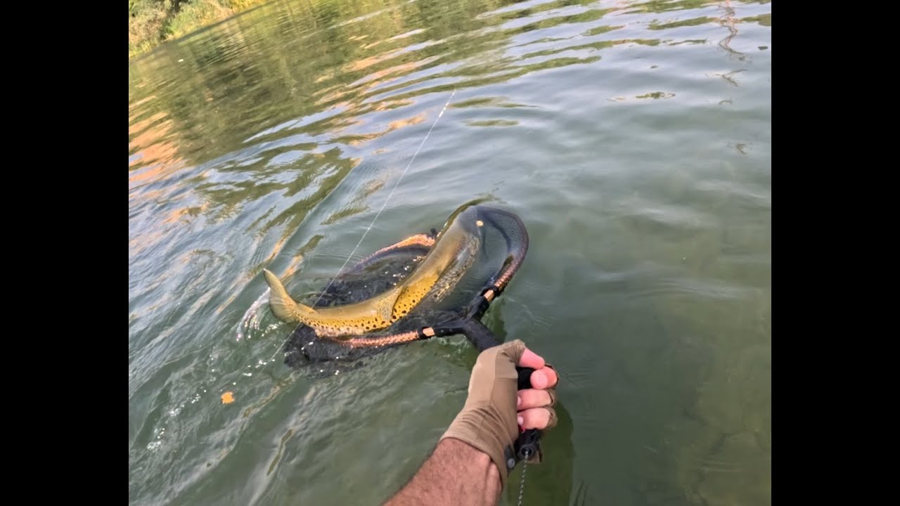 Pescando el Coto de Alfarras en Agosto del 2025
