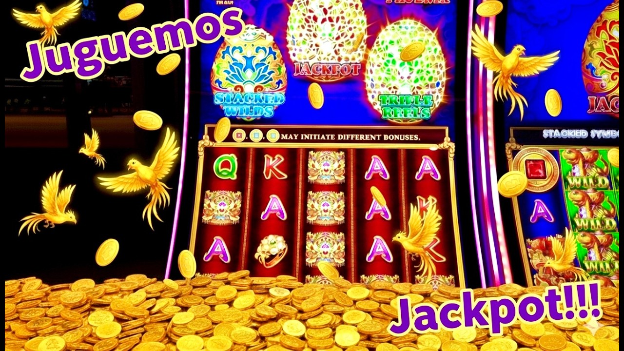 Jugando Magnificent Phoenix en el Casino, Jackpot!!!