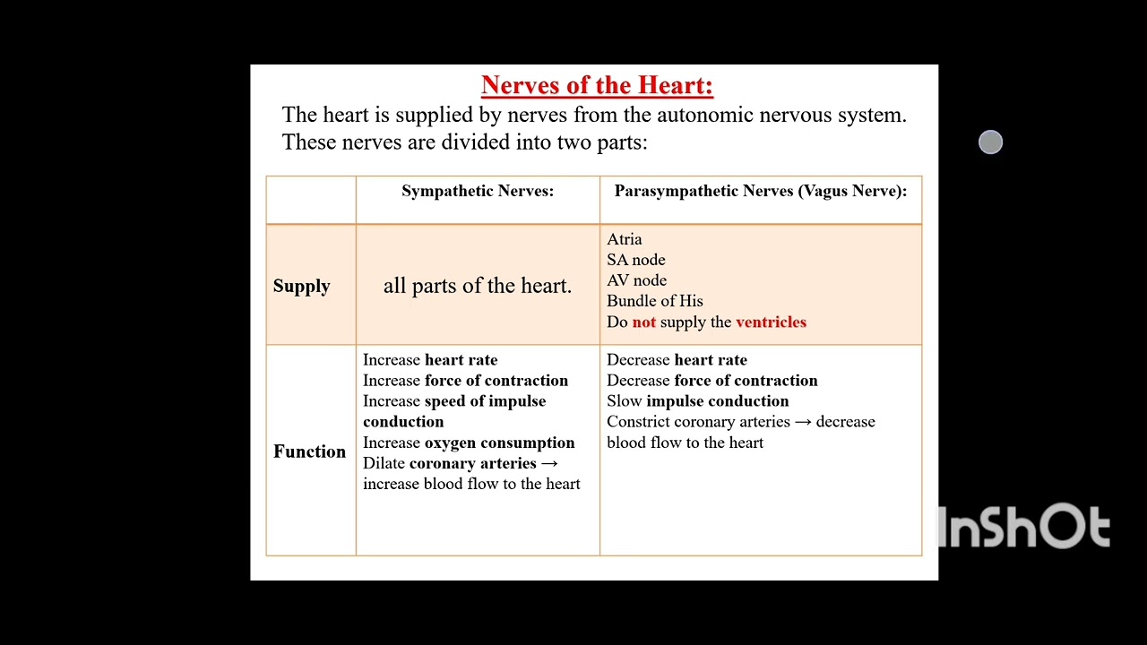 Circulatory System (Physiology) الوحده الثانيه أولى تمريض 